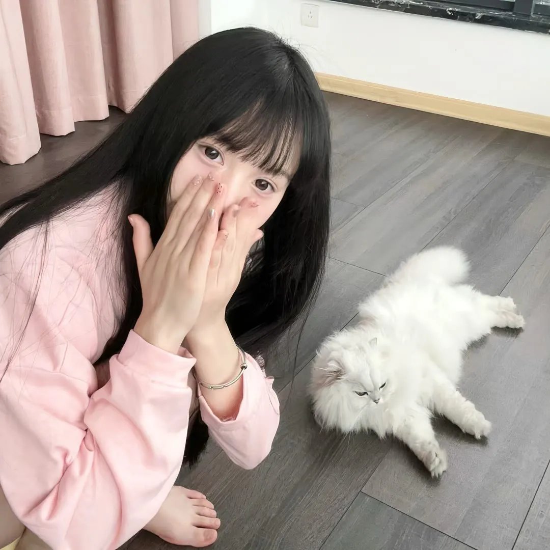 我的继父是偶像